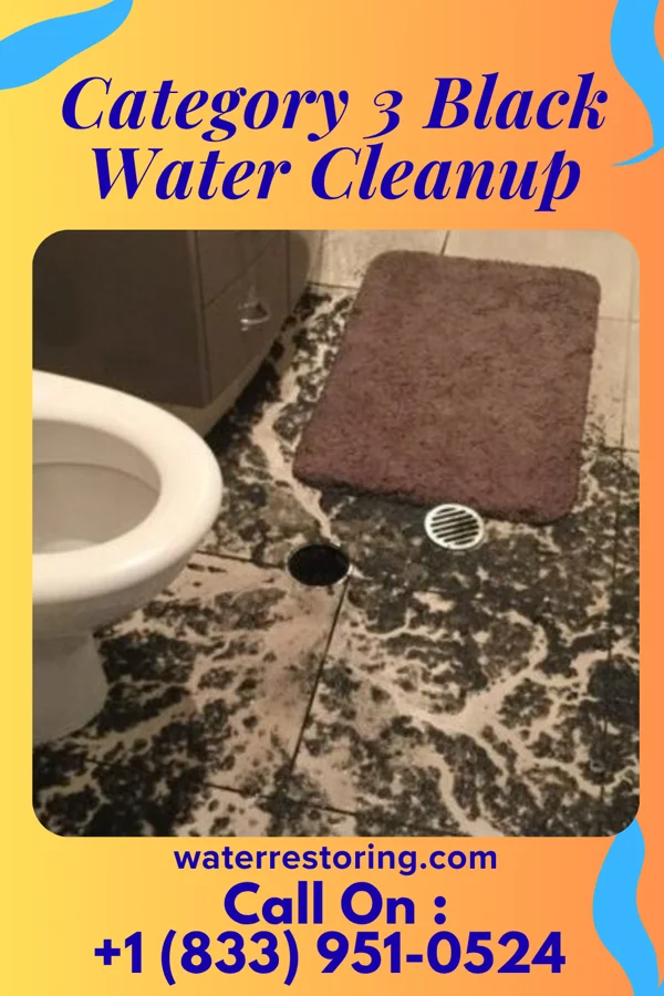Category 3 Black Water Cleanup in Boulevard Park, WA