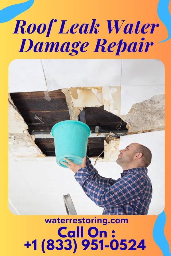 Roof Leak Water Damage Repair in Boulevard Park, WA